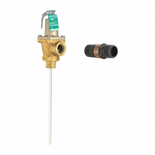Temperature and Pressure Relief Valve