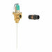 Temperature and Pressure Relief Valve