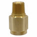 Snubber Solid Body Brass 1/2 NPT Mal
