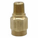 Snubber Solid Body Brass 1/4 NPT Mal