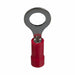 Ring Terminal PK 25