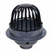 PVC Roof Drain w/Dome and Dam Collar 3 