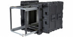 Case