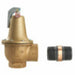 Temperature and Pressure Relief Valve