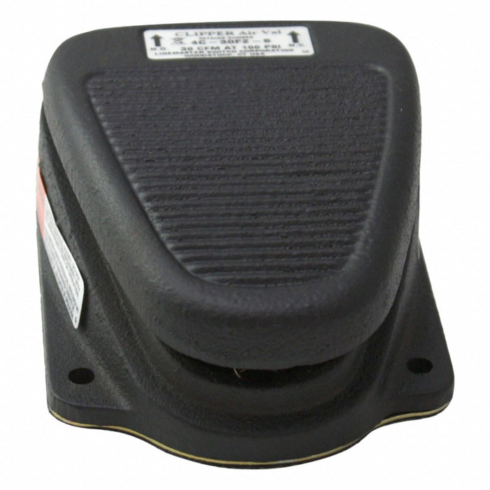 Foot Switch Black Cast Iron Momentary