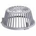 Roof Drain Dome