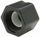 Cap Polymer Threaded 1/2 in