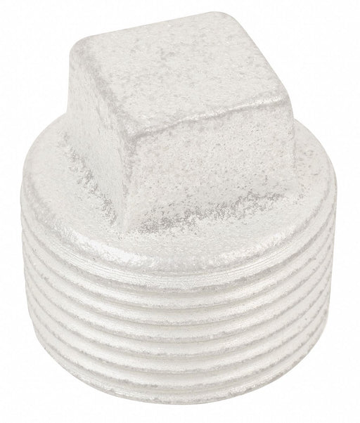 Conduit Plug Stainless Steel