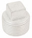 Conduit Plug Stainless Steel