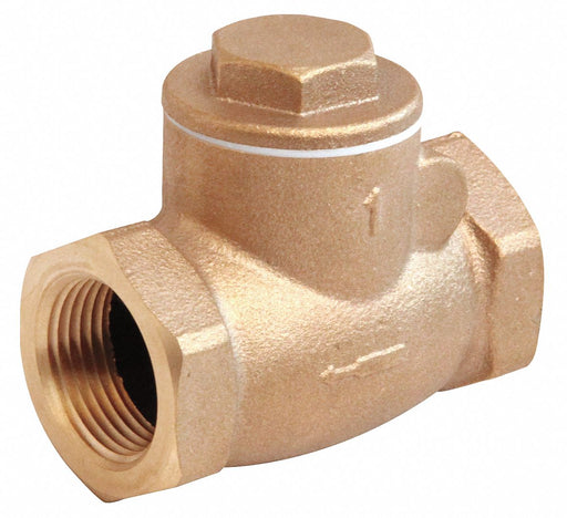 Swing Check Valve 2.2 in Overall L