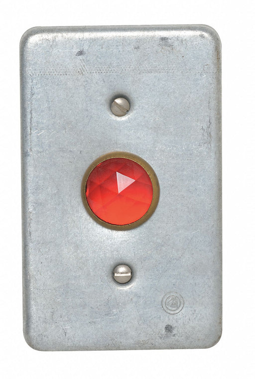 Weatherproof Cover with Red Jewel