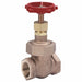 Gate Valve 1 Bronze NPT