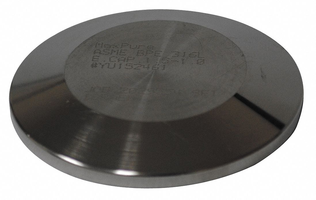 Cap Stainless Steel Clamp 2 1/2 in