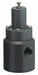 Pressure Relief Valve 1/2In 5 to 100 psi