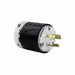 Grnd Mntring Plug 20A Blk Wht Nyl 3Blds