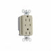 Receptacle Straight Blade Type 15A