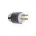 GCM Strt Plg Blk Wht 15 A Stnd 5-15P