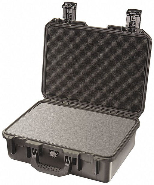 G3173 ProtCase 4 in PdLkHsp/PrPu Blk