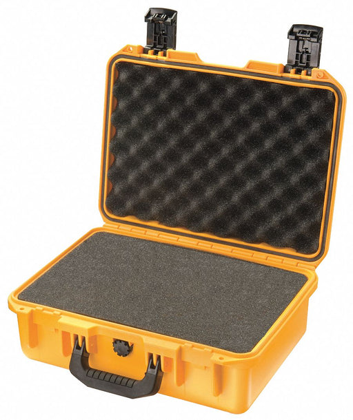 G3173 ProtCase 4 in PdLkHsp/PrPu Ylw