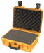 G3173 ProtCase 4 in PdLkHsp/PrPu Ylw