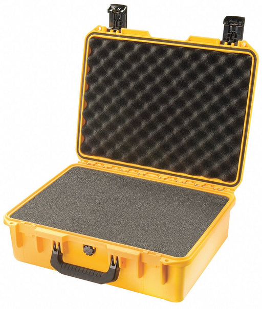 G3181 ProtCase 4 45/64 in PdLkHsp/PrPu Ylw