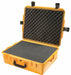 G3191 ProtCase 6 in PdLkHsp/PrPu Ylw