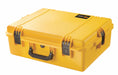 G3192 ProtCase 6 in PdLkHsp/PrPu Ylw