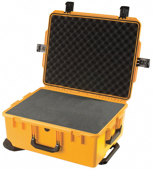 G3193 ProtCase 8 in PdLkHsp/PrPu Ylw