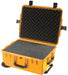 G3193 ProtCase 8 in PdLkHsp/PrPu Ylw