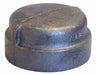 Round Cap Malleable Iron 1/2 in NPT