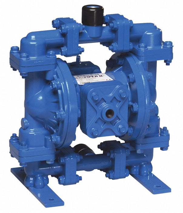 DblDiaphPmp FNPT TPV/UHMW PE 1/4in 15gpm