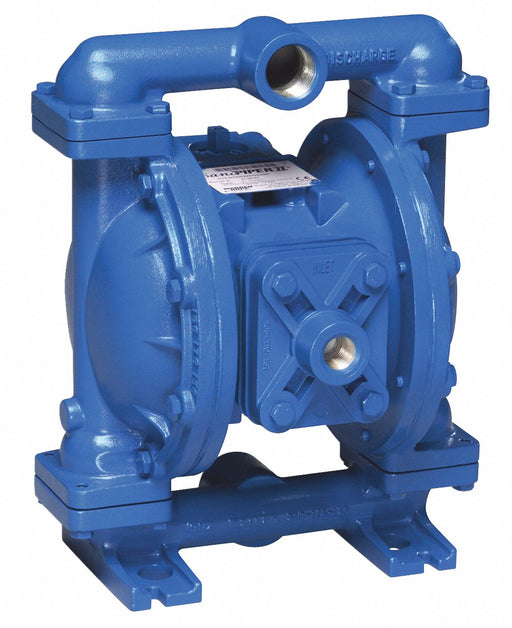 Dbl DphrmPmp NPT TPV/UHMW PE 1in 45gpm