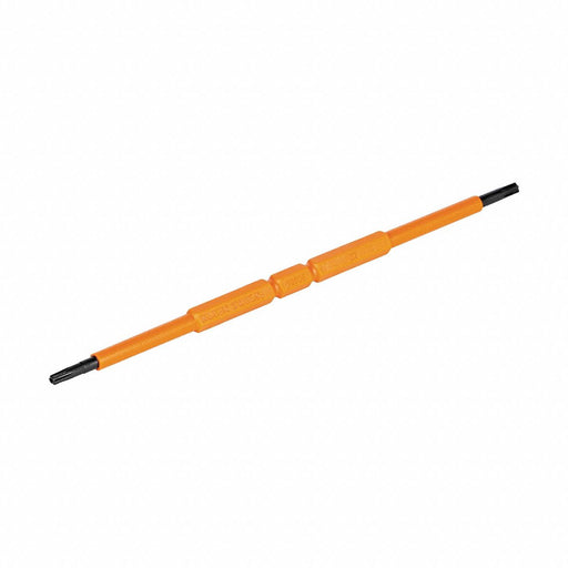 Screwdriver Blades Double-Ended TORX 2PK