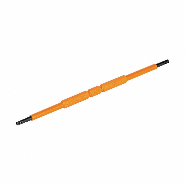 Screwdriver Blades Double-Ended TORX 2PK