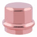 Cap Copper Press-fit 2 in