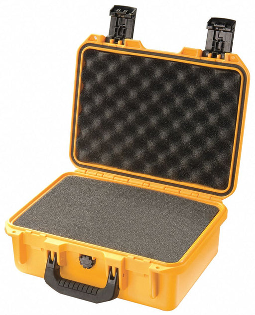 G3171 ProtCase 4 in PdLkHsp/PrPu Ylw