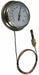 G2666 Analog Panel Mt Thermometer 0 to 160F