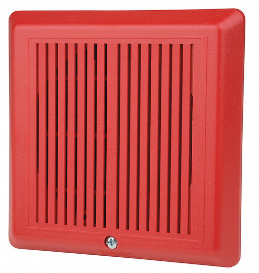 Temporal Horn Red