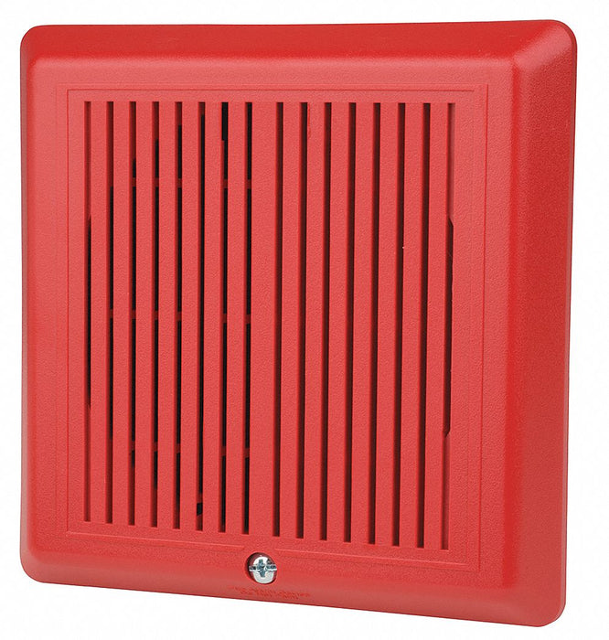 Temporal Horn Red