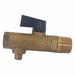 Filter Ball Valve 1/8 in MNPT Drain