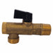 Filter Ball Valve 1/2 in MNPT Drain