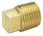 Square Head Plug Brass 3/4 in MNPT
