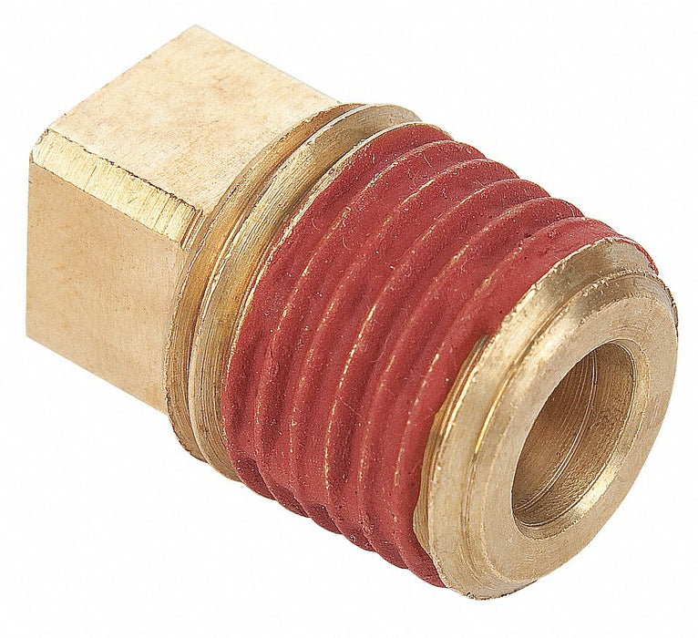 Square Head Plug Brass 3/8 in MNPT