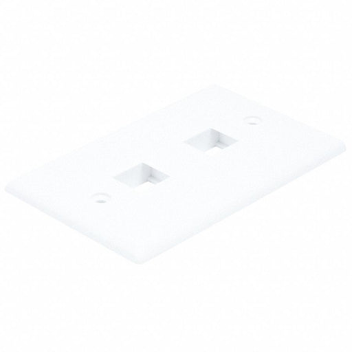 WallPlate Blank 2 Hole White