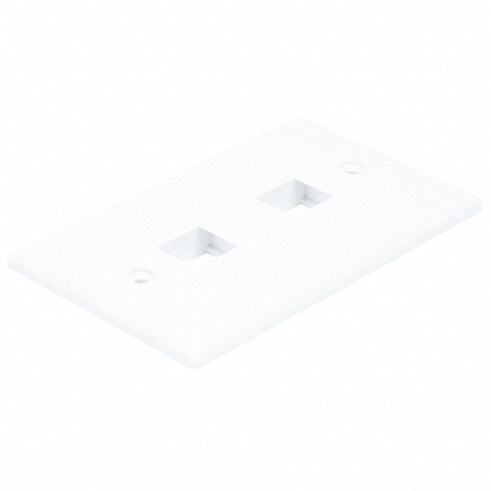 WallPlate Blank 2 Hole White