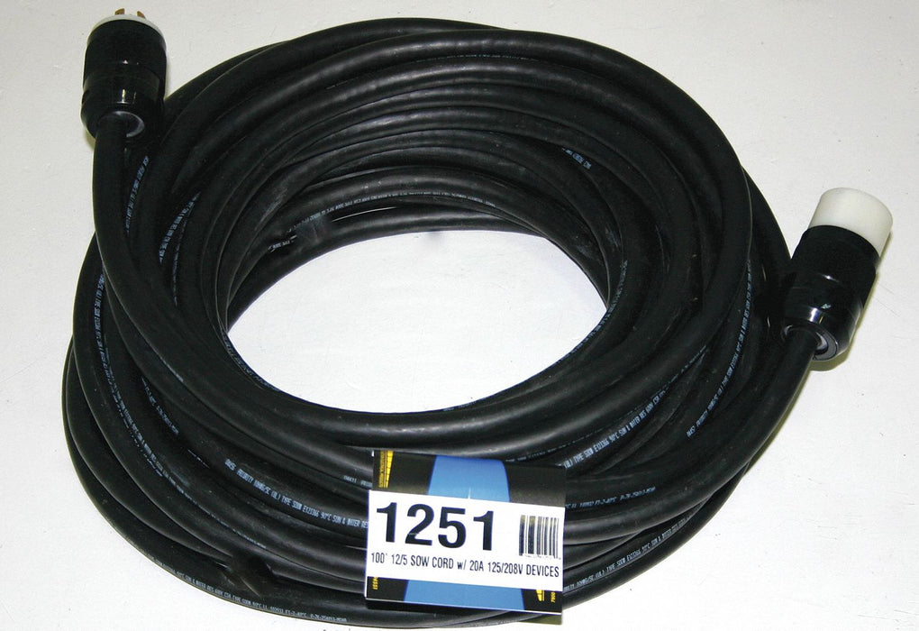 ExtensionCord 100ft Black 12AWG Round