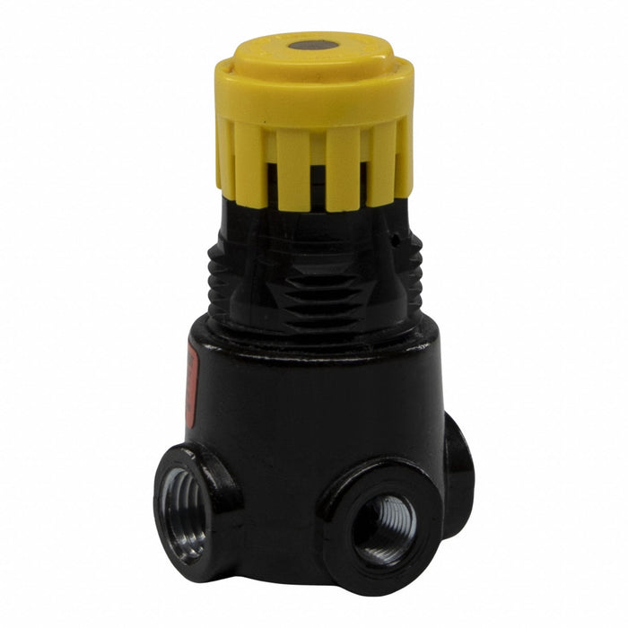 Regulator Air Inlet 1/4 NPT 300 psig