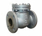 Swing Check Valve 19.5 in Overall L