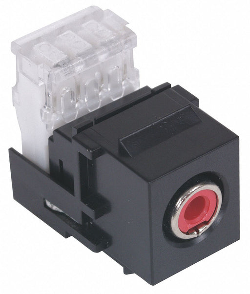 Keystone Jack 1 in Black