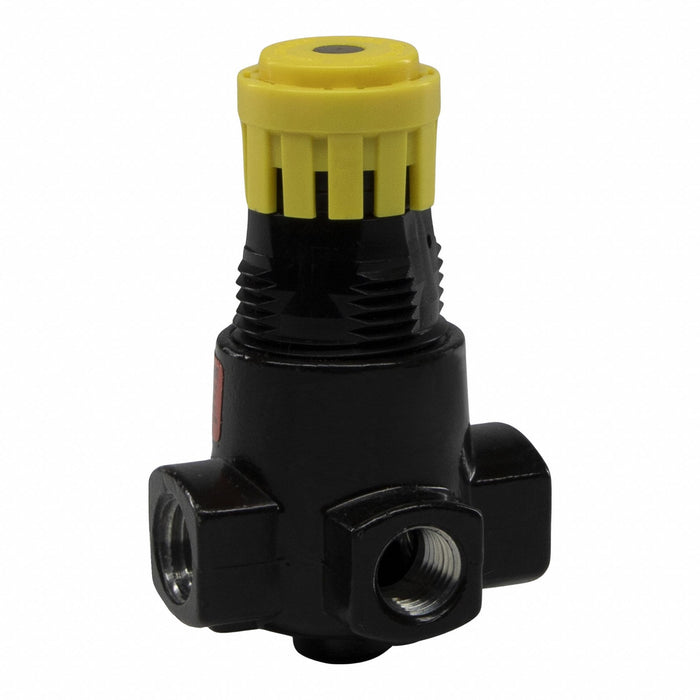 Regulator Air Inlet 1/4 NPT 300 psig